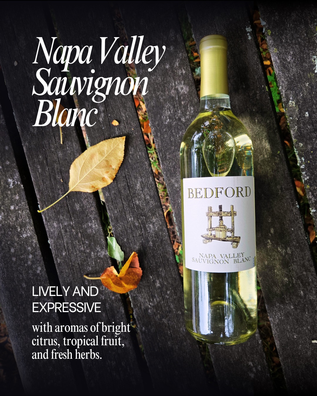 Napa Valley Sauvignon Blanc