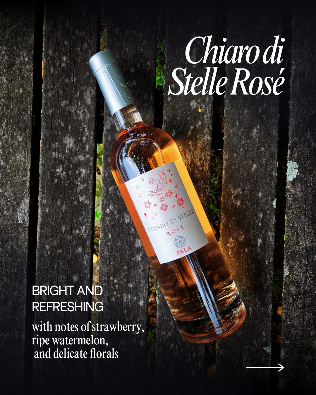 Chiaro di Stelle Rosé